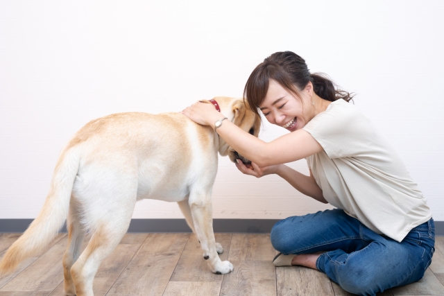 犬と飼い主