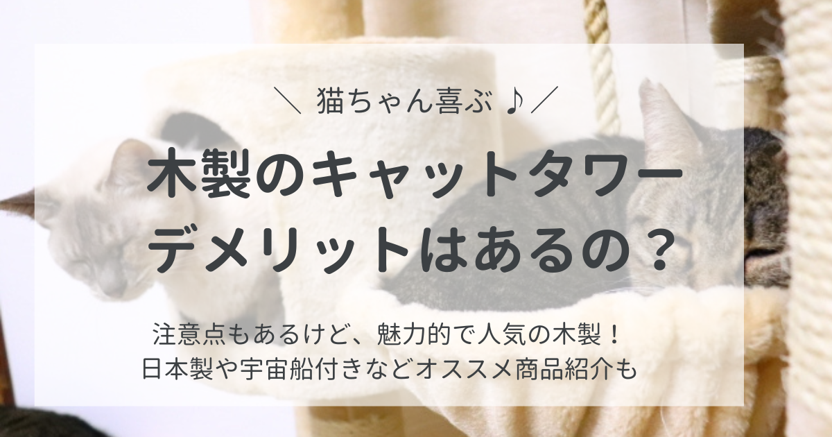 木製キャットタワー、デメリットはあるけど魅力的！おしゃれで人気な商品も紹介