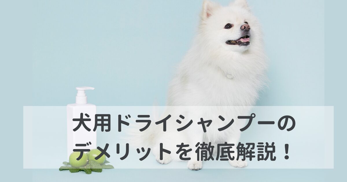 犬用ドライ シャンプーのデメリットを徹底解説！購入前に失敗したくない人必見